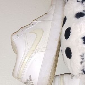 Nike Air Jordan shoes